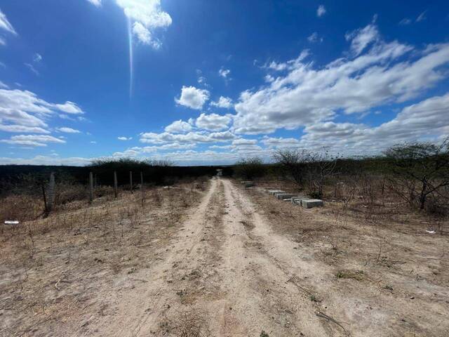 #1406 - Área para Venda em Paulo Afonso - BA - 3